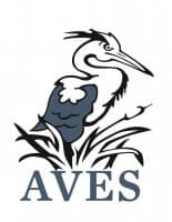 AVES